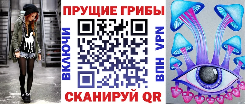 ссылка на мегу как зайти  Чита  Псилоцибиновые грибы Psilocybine cubensis 